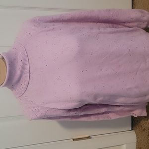 Loft turtleneck sweater